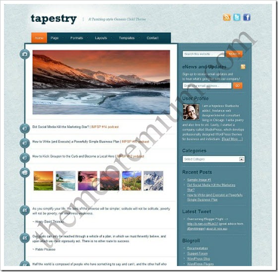 tapestry-wordpress-theme